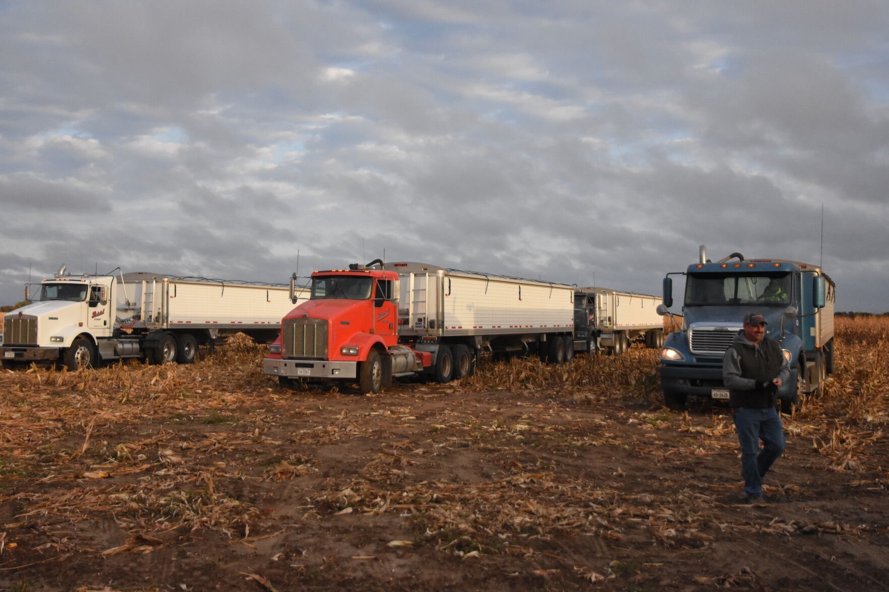 Rempel Harvest (32).JPG